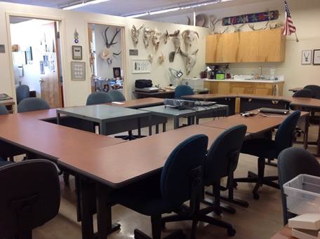 ZooArch & Lithics Lab