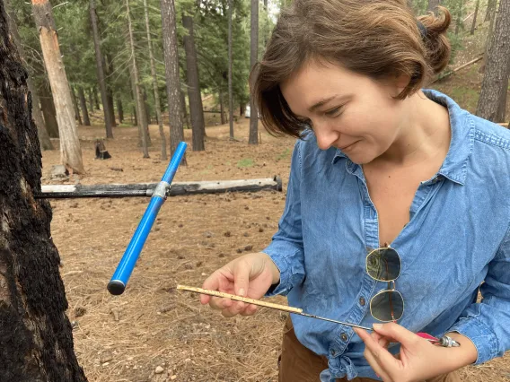 A photo of a woman in a forest with medium-length brown hair lookin at a dendro sample while standing in the forest