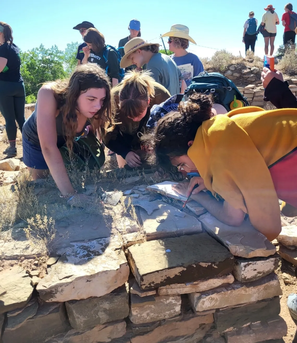 Students at an archaeological dig