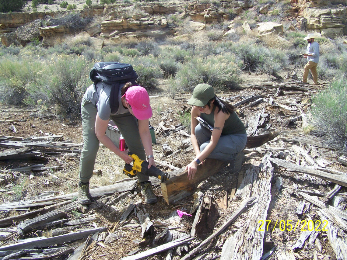 Two women collecting timber samples