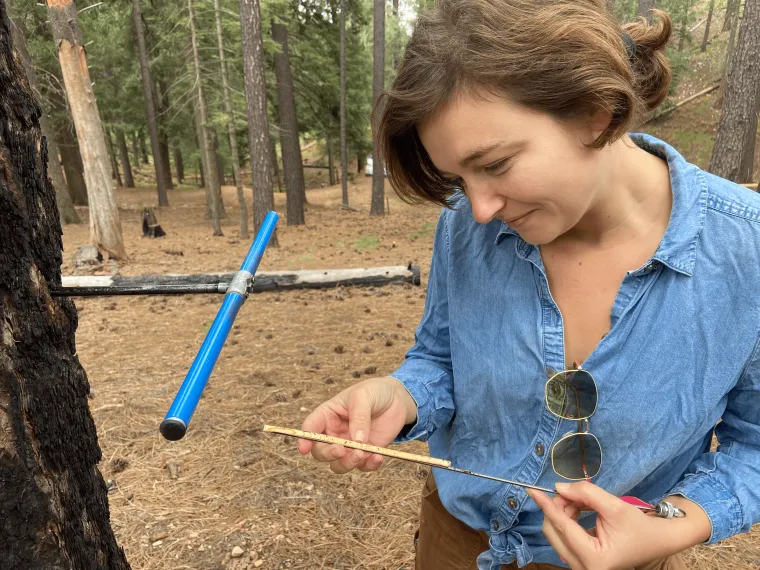 A photo of a woman in a forest with medium-length brown hair lookin at a dendro sample while standing in the forest