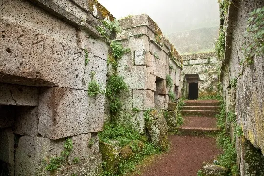 overgrown walls inside building ruins in Orvieto, Italy