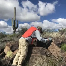 Man in red safety vest ben over a large rock