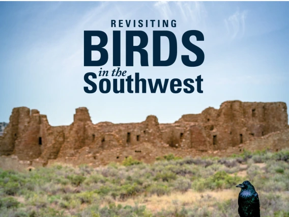Cover of Archaeology Southwest Magazine