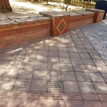 Ann Samuelson Paver